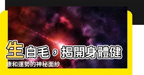 智慧毛是什麼|【智慧毛是什麼】揭開智慧毛的神秘面紗：祭孔大典中的智慧象徵。